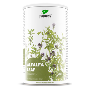 Foglie di erba medica in polvere