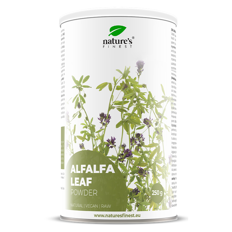 Foglie di erba medica in polvere