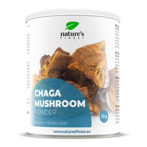 Polvere di funghi Chaga