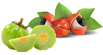 Guaranà e Garcinia Cambogia