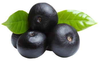 Bacche di acai