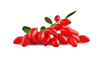 Rebersa® (estratto di berberina)