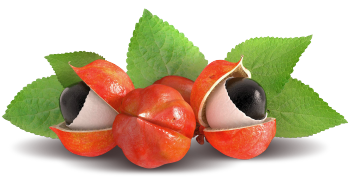 Estratto di guaranà