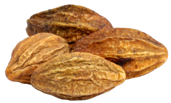 Estratto di Haritaki