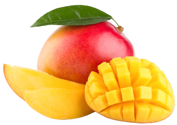Mango biologico