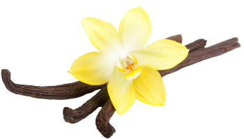 Vaniglia e polvere di cocco