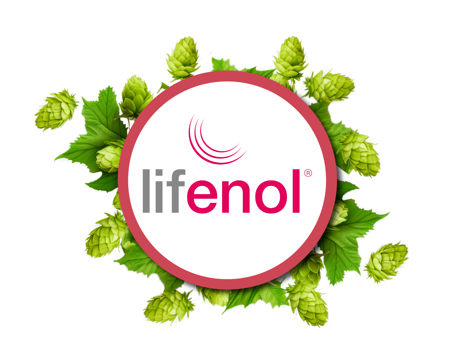 Immagine dell'opzione prodotto