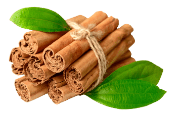 cannella di Ceylon