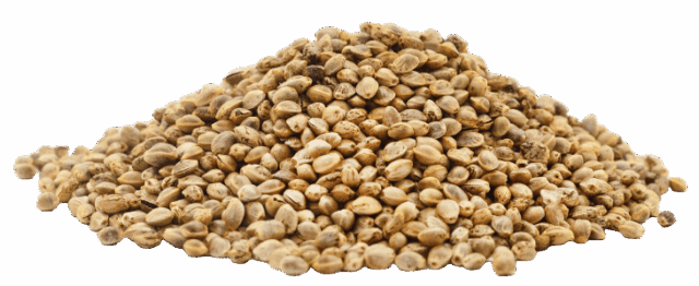 Proteine ​​della canapa