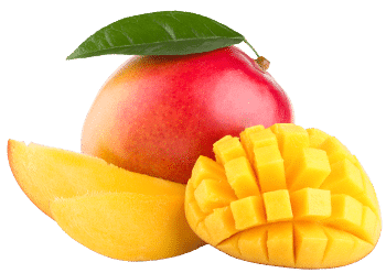 polvere di mango