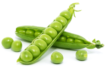 Proteine ​​del pisello