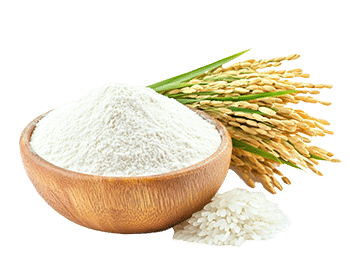 Farina di riso (Oryza sativa)