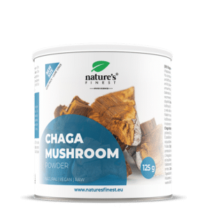 Polvere di funghi Chaga